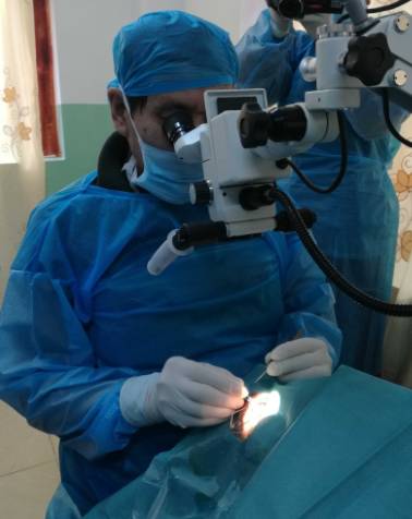 2017年8月1日,霍鸣教授正式受聘为宜昌易游体育院长 2017年8月1日,霍鸣教授正式受聘为宜昌易游体育院长