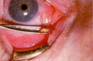 QQ截图20171024113042.jpg QQ截图20171024113042.jpg