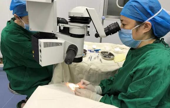 深圳易游体育高度近视医生李春燕:潜心专注ICL,助力近视青年梦想起飞1.jpg 深圳易游体育高度近视医生李春燕:潜心专注ICL,助力近视青年梦想起飞1.jpg